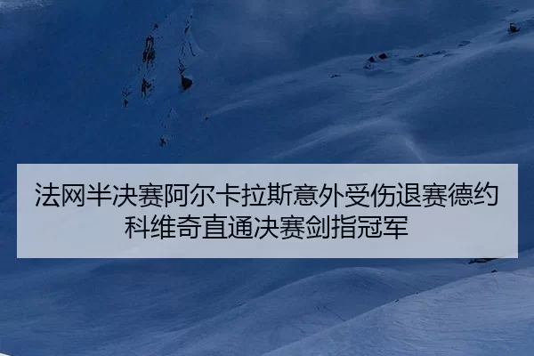 fa-wang-ban-jue-sai-a-er-ka-la-si-yi-wai-shou-shang-tui-sai-de-yue-ke-wei-qi-zhi-tong-jue-sai-jian-zhi-guan-jun-2-265.jpg