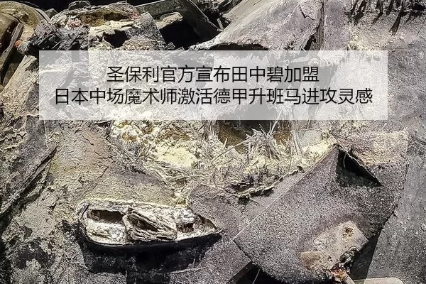 圣保利官方宣布田中碧加盟 日本中场魔术师激活德甲升班马进攻灵感