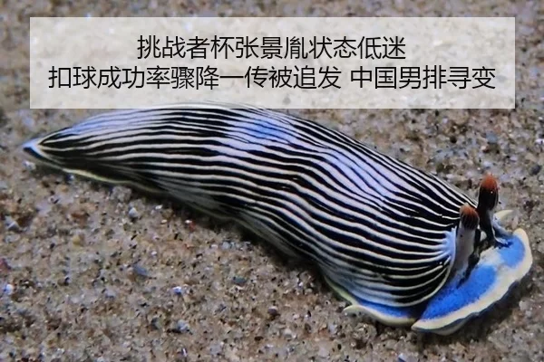 tiao-zhan-zhe-bei-zhang-jing-yin-zhuang-tai-di-mi-kou-qiu-cheng-gong-lv-zhou-jiang-yi-chuan-bei-zhui-fa-zhong-guo-nan-2-864.jpg